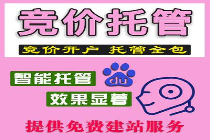 短视频平台上的信息流广告投放效果分析